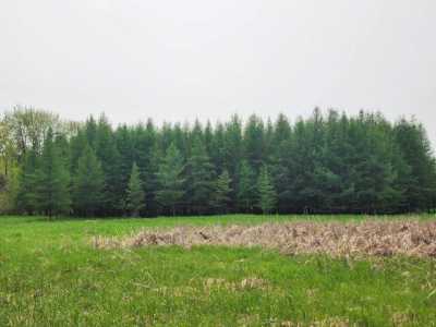 Residential Land For Sale in Pittsville, Wisconsin
