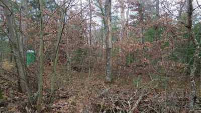 Residential Land For Sale in Idlewild, Michigan