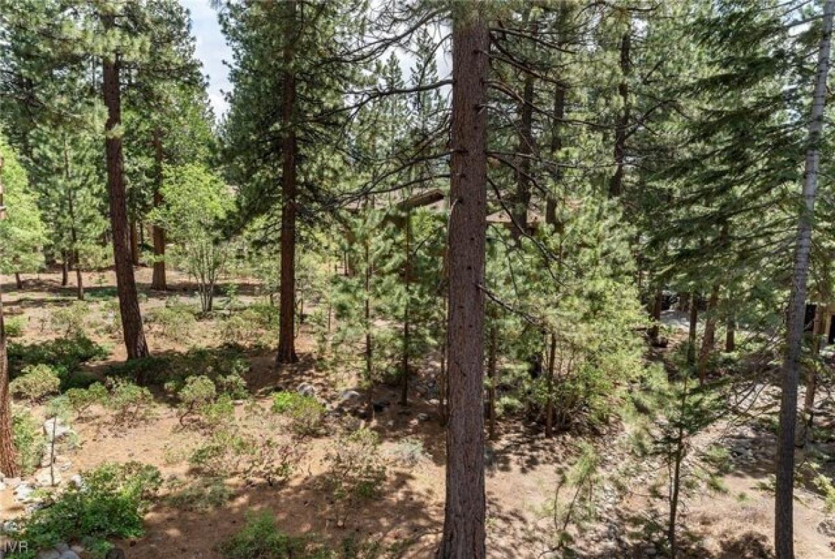 Picture of Home For Sale in Incline Village, Nevada, United States