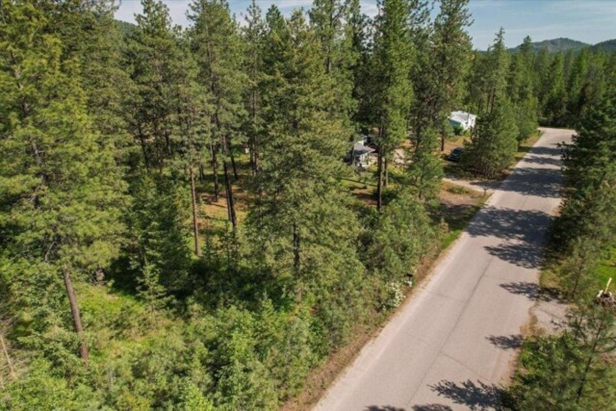 Picture of Residential Land For Sale in Loon Lake, Washington, United States