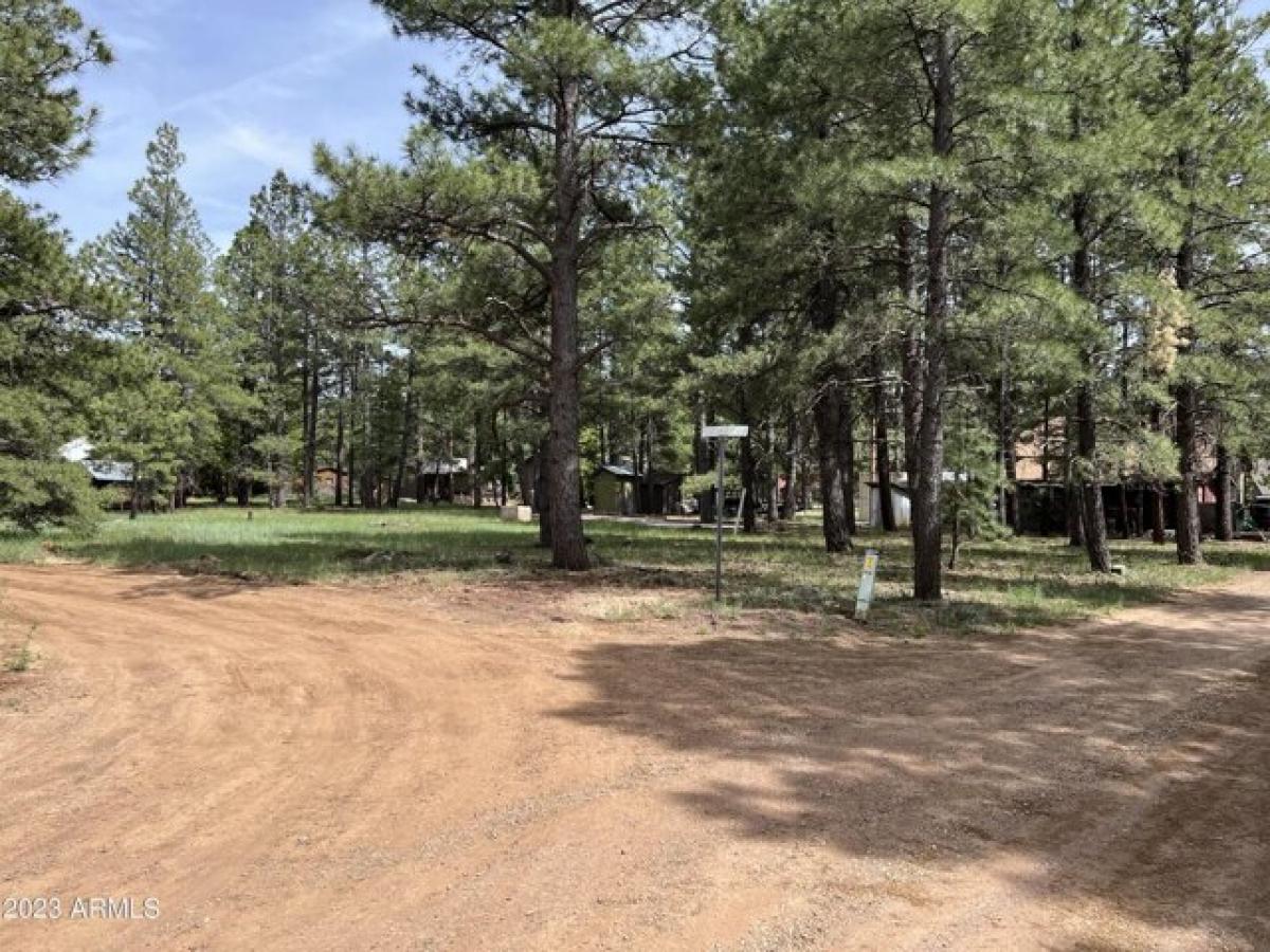 Picture of Residential Land For Sale in Mormon Lake, Arizona, United States