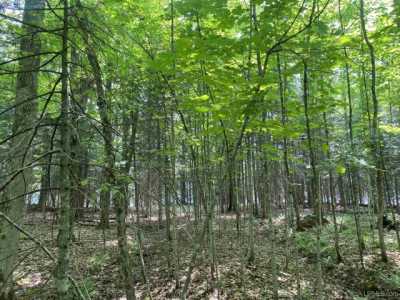 Residential Land For Sale in Marenisco, Michigan
