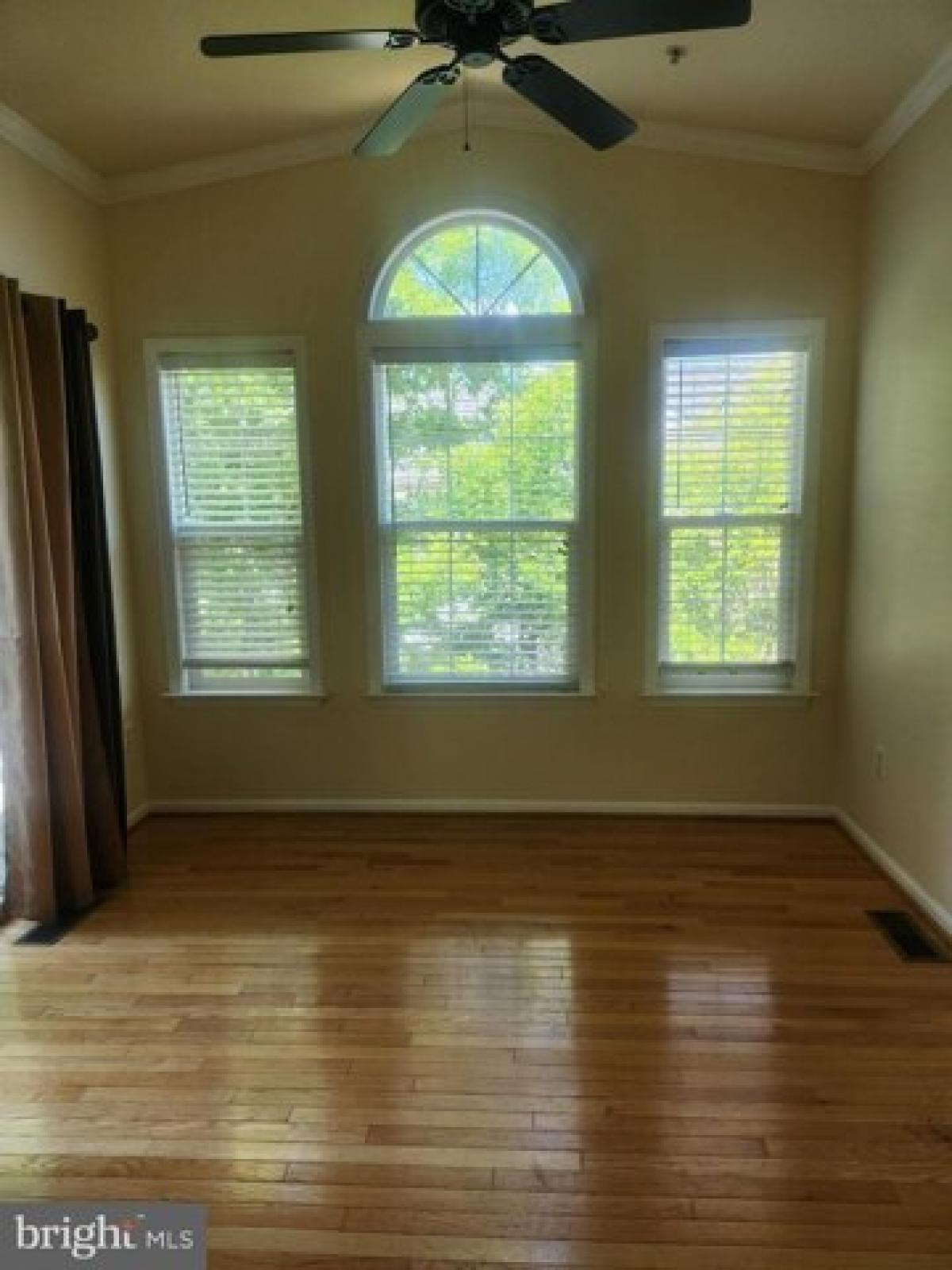 Picture of Home For Rent in Beltsville, Maryland, United States