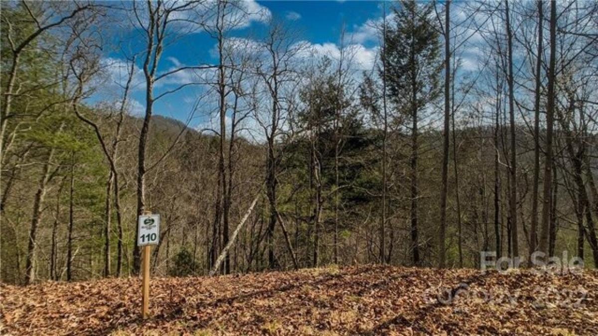 Picture of Residential Land For Sale in Marshall, North Carolina, United States