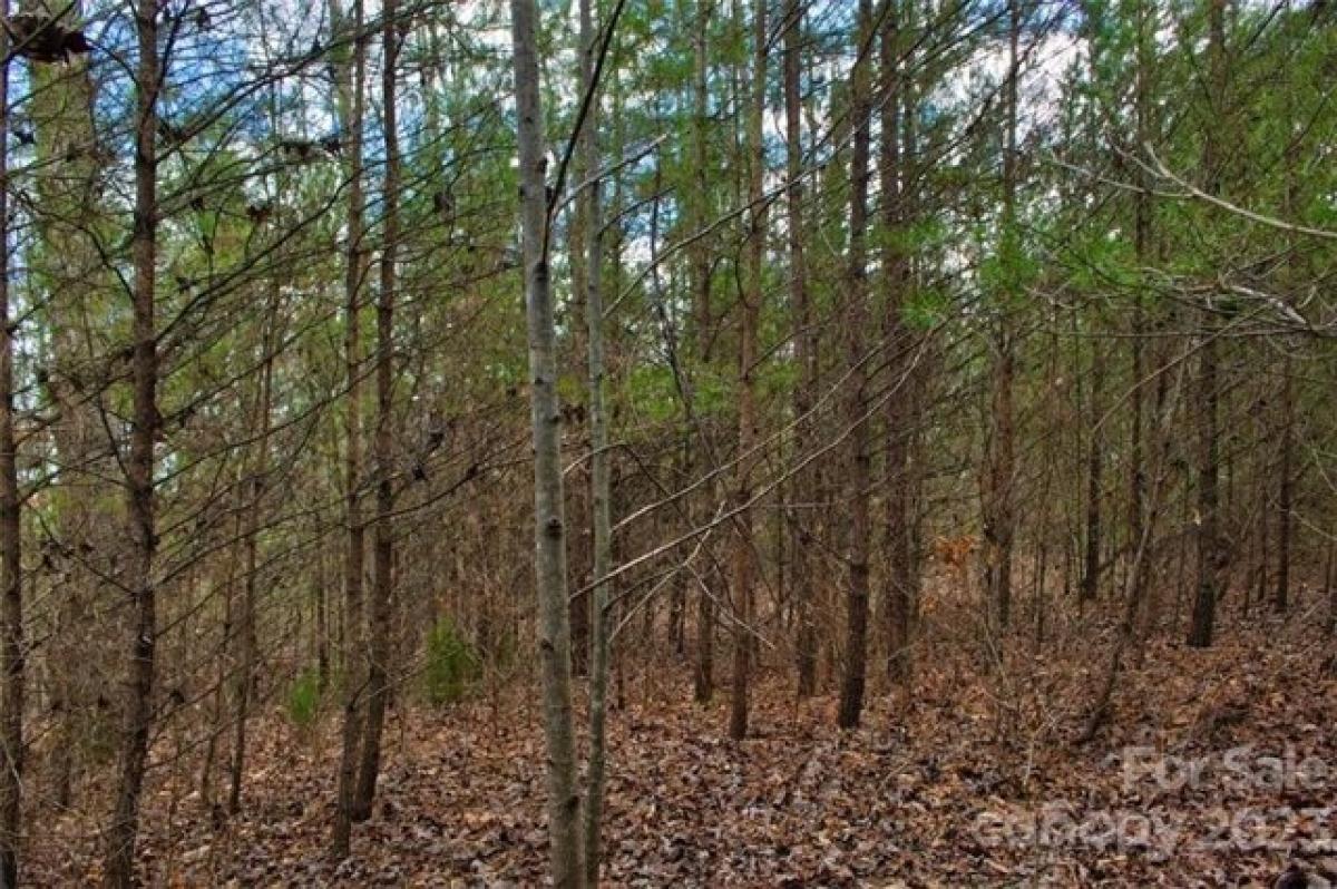Picture of Residential Land For Sale in Rutherfordton, North Carolina, United States