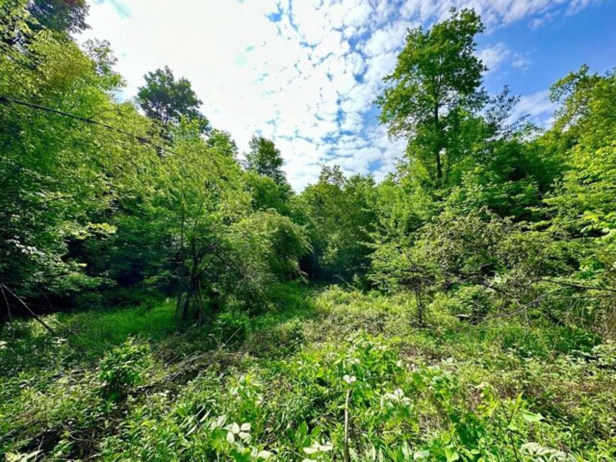 Picture of Residential Land For Sale in Elton, Wisconsin, United States