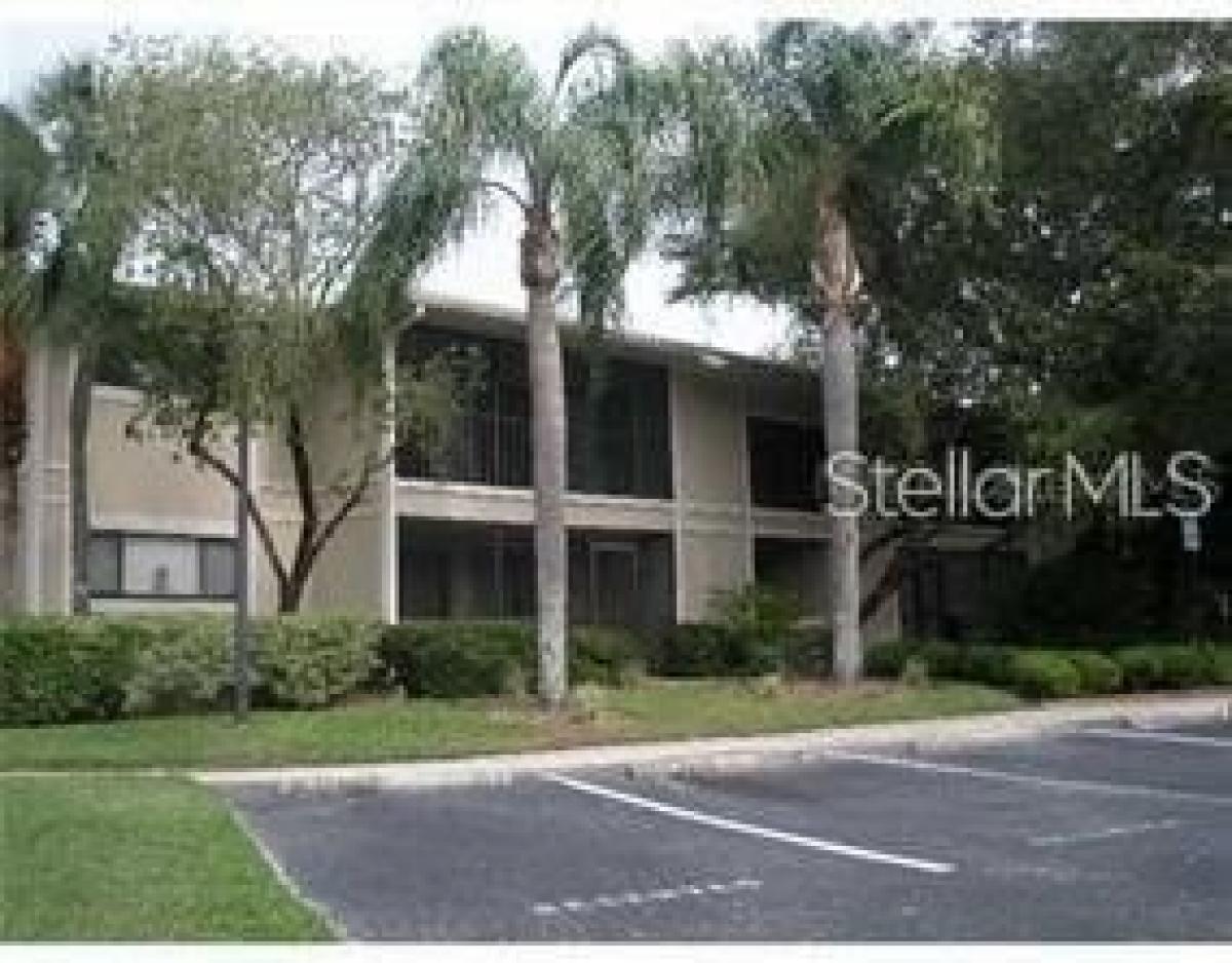 Picture of Home For Sale in Temple Terrace, Florida, United States