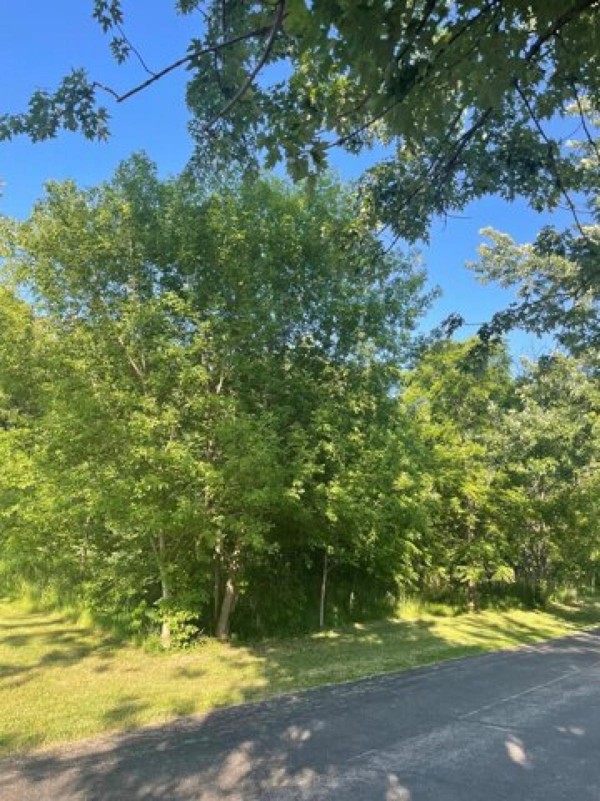 Picture of Residential Land For Sale in Delavan, Wisconsin, United States