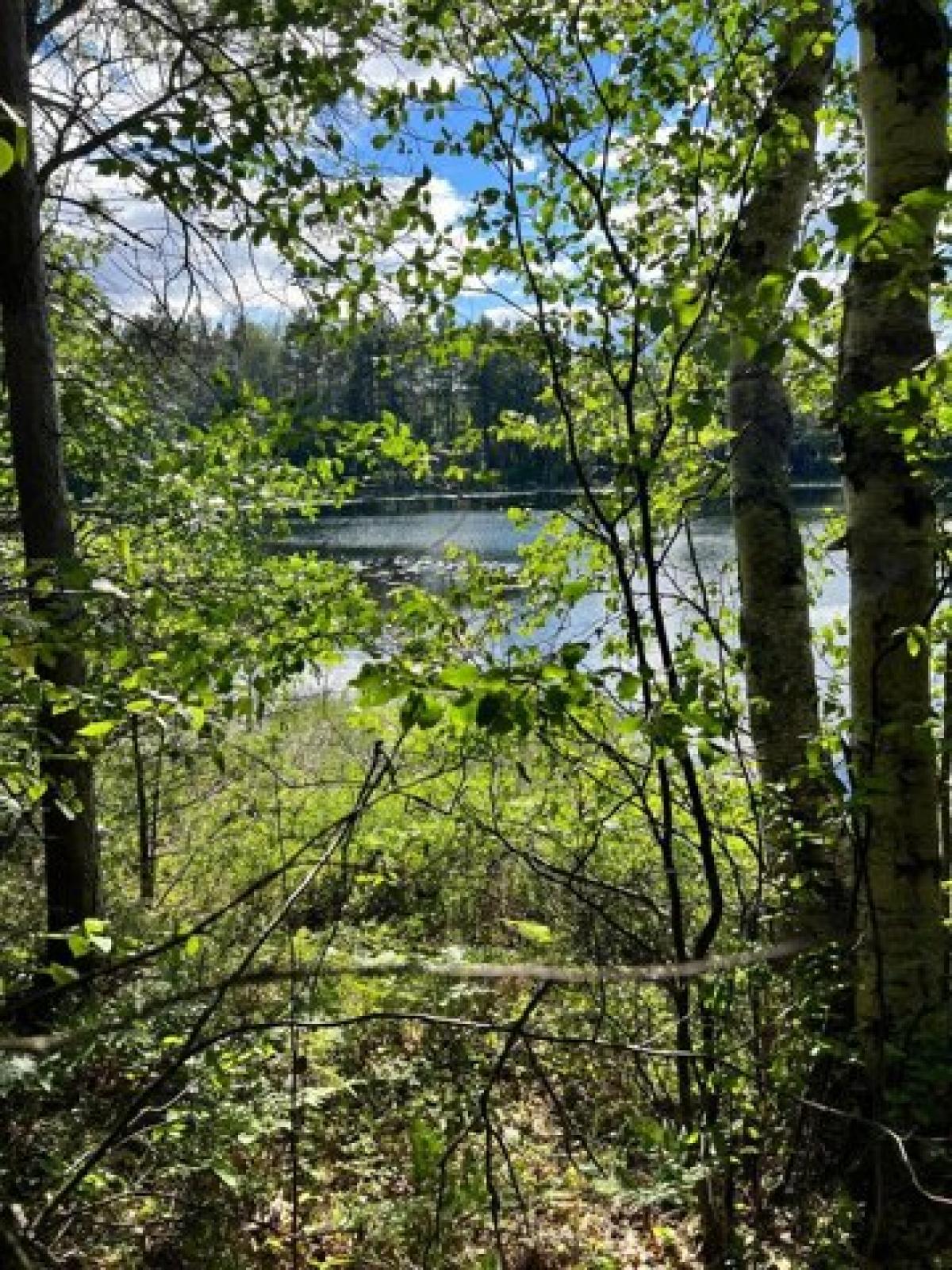 Picture of Residential Land For Sale in Minocqua, Wisconsin, United States