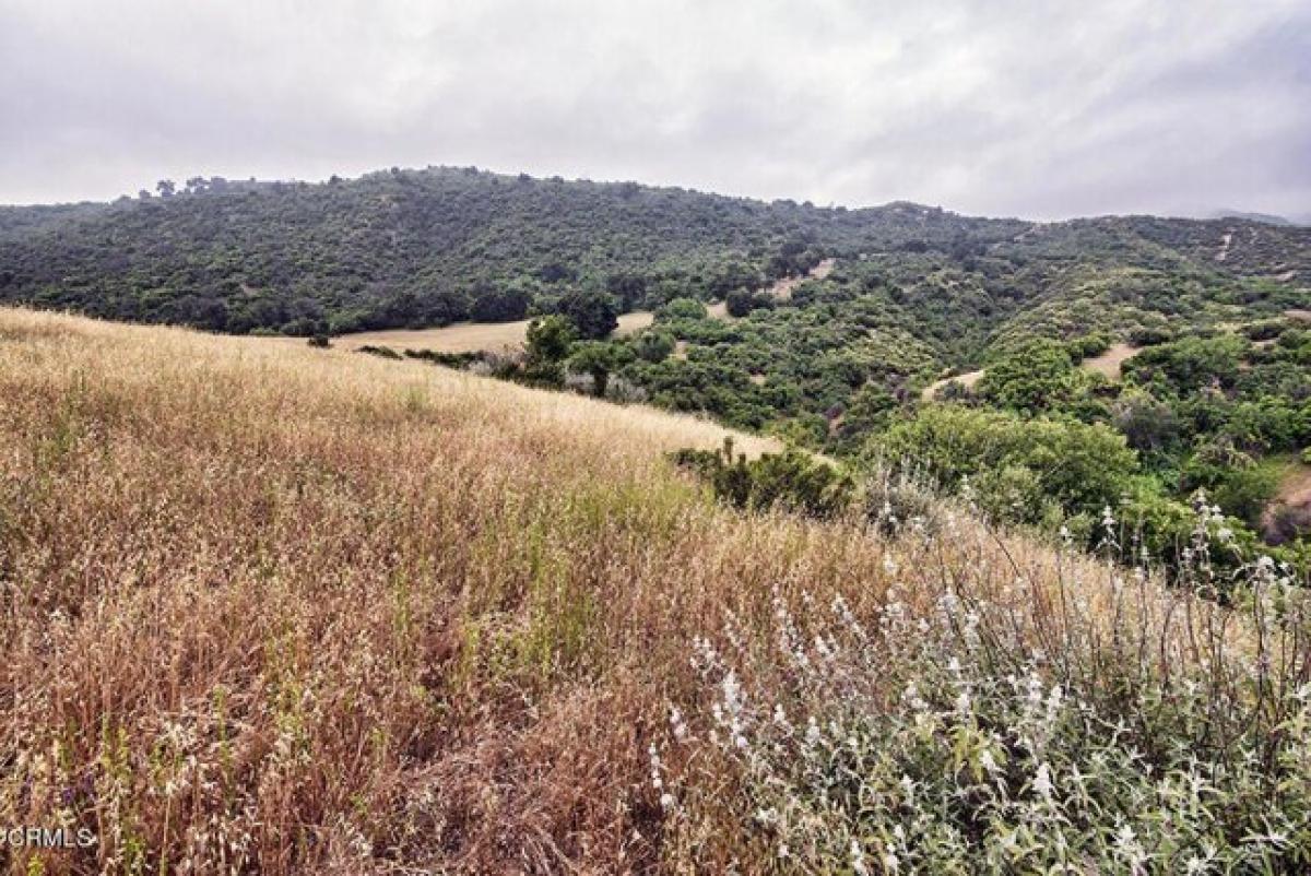 Picture of Residential Land For Sale in Piru, California, United States