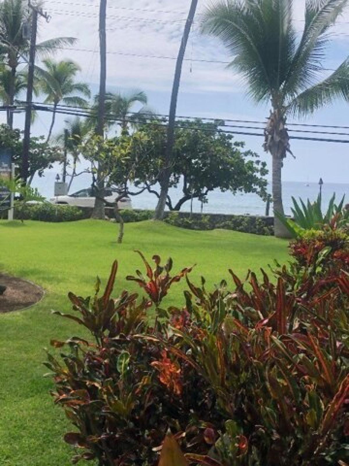 Picture of Home For Sale in Holualoa, Hawaii, United States