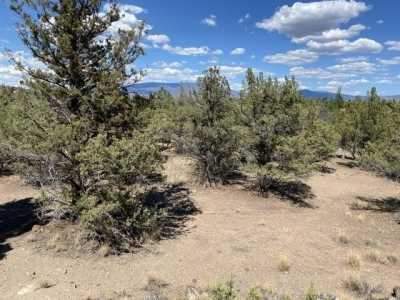 Residential Land For Sale in Weed, California