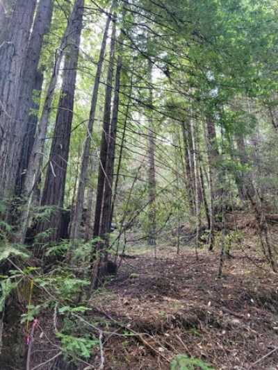 Residential Land For Sale in Camp Meeker, California
