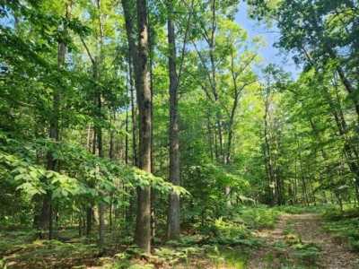 Residential Land For Sale in Whitehall, Michigan