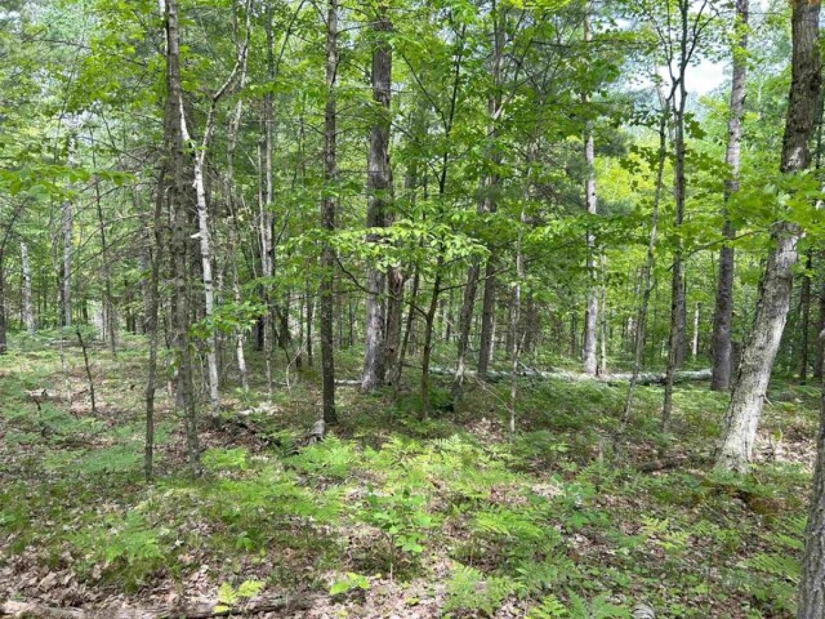 Picture of Residential Land For Sale in Fish Creek, Wisconsin, United States