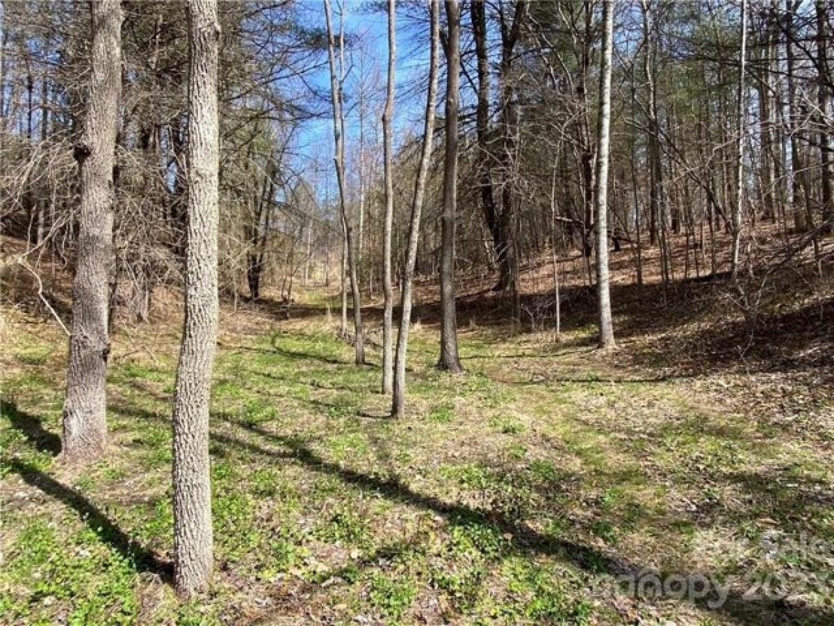 Picture of Residential Land For Sale in Mars Hill, North Carolina, United States