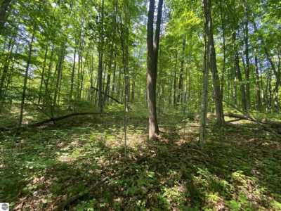 Residential Land For Sale in Lake Ann, Michigan