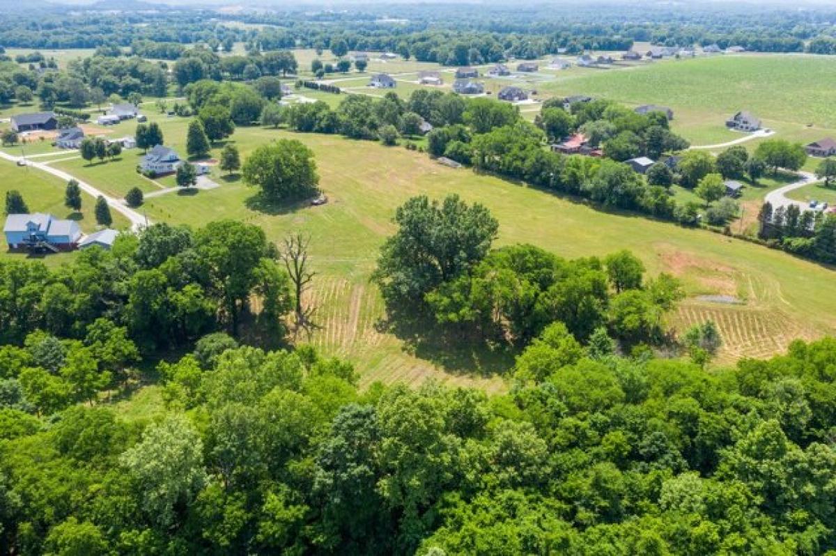 Picture of Residential Land For Sale in Mount Pleasant, Tennessee, United States