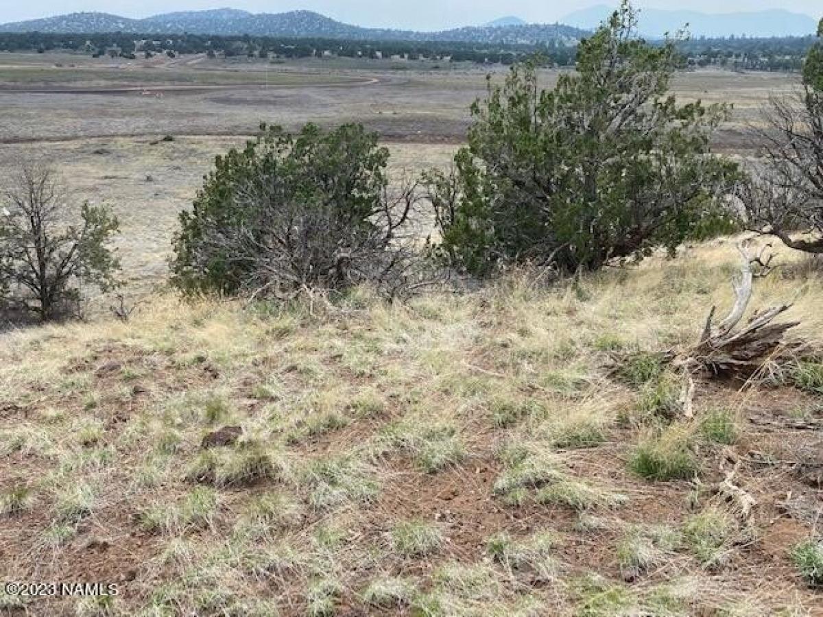 Picture of Residential Land For Sale in Flagstaff, Arizona, United States