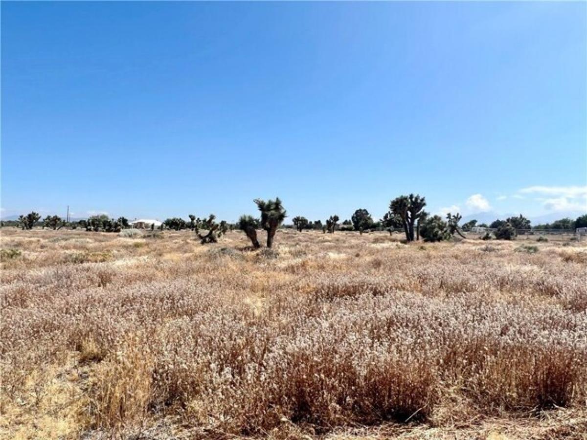 Picture of Residential Land For Sale in Oak Hills, California, United States
