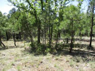 Residential Land For Sale in Happy Jack, Arizona
