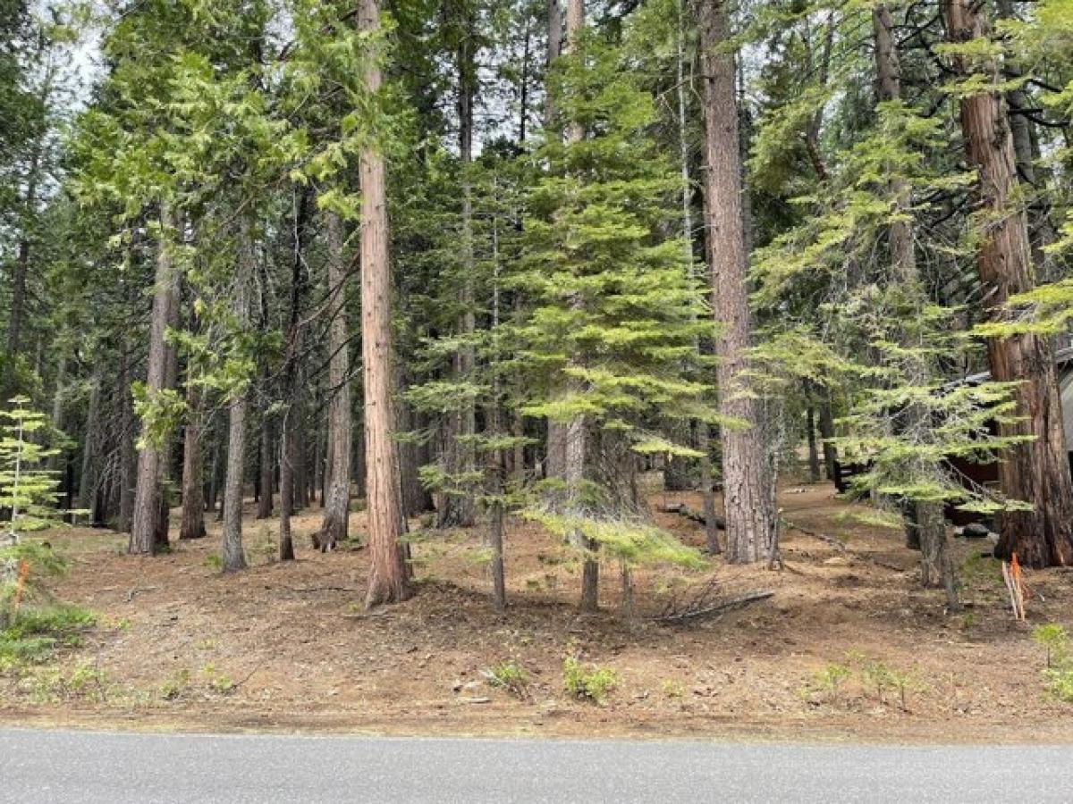 Picture of Residential Land For Sale in Camp Connell, California, United States