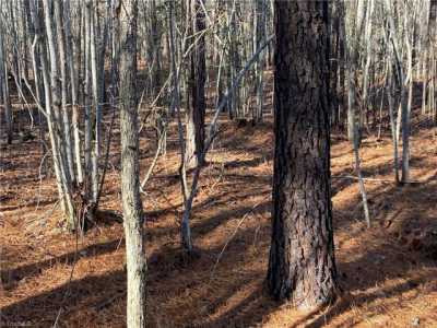 Residential Land For Sale in Star, North Carolina