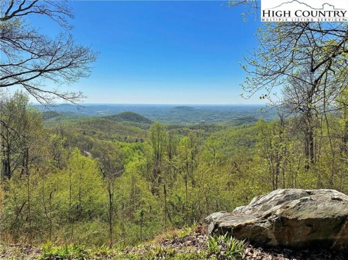 Picture of Residential Land For Sale in Moravian Falls, North Carolina, United States