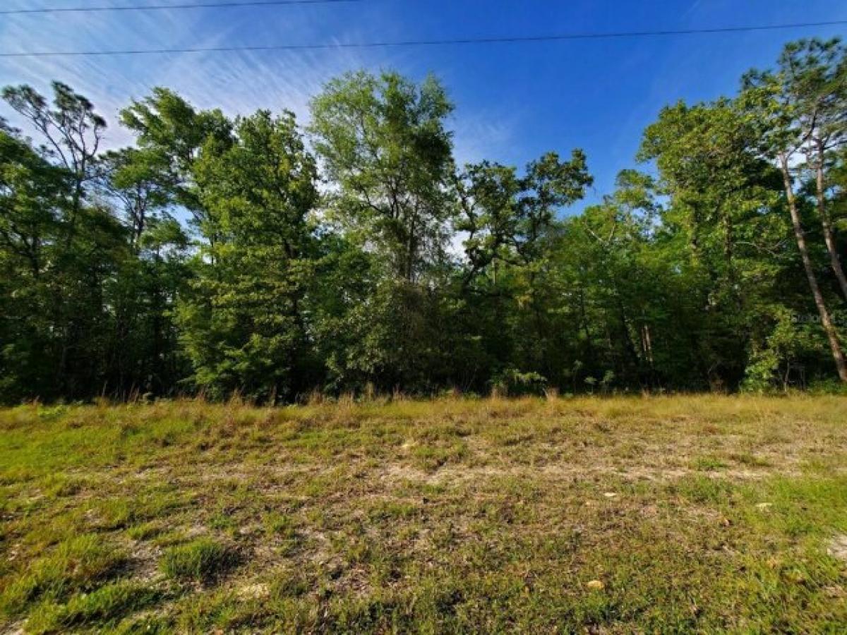 Picture of Residential Land For Sale in Fort White, Florida, United States