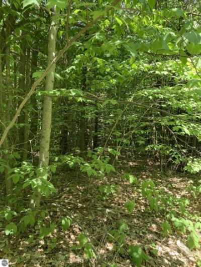 Residential Land For Sale in Mancelona, Michigan