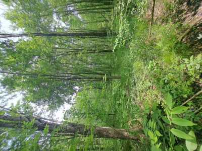 Residential Land For Sale in Newaygo, Michigan