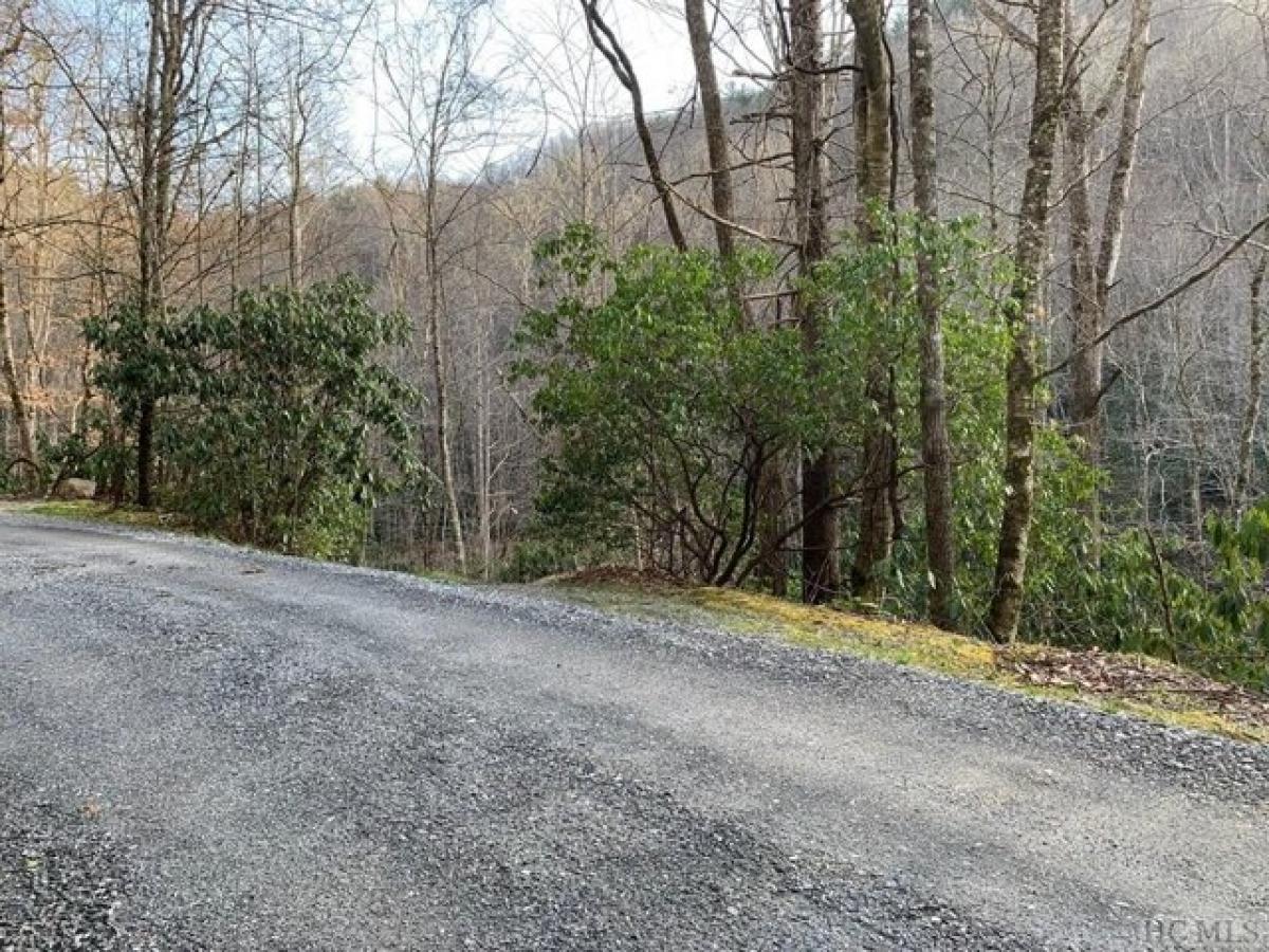 Picture of Residential Land For Sale in Cashiers, North Carolina, United States