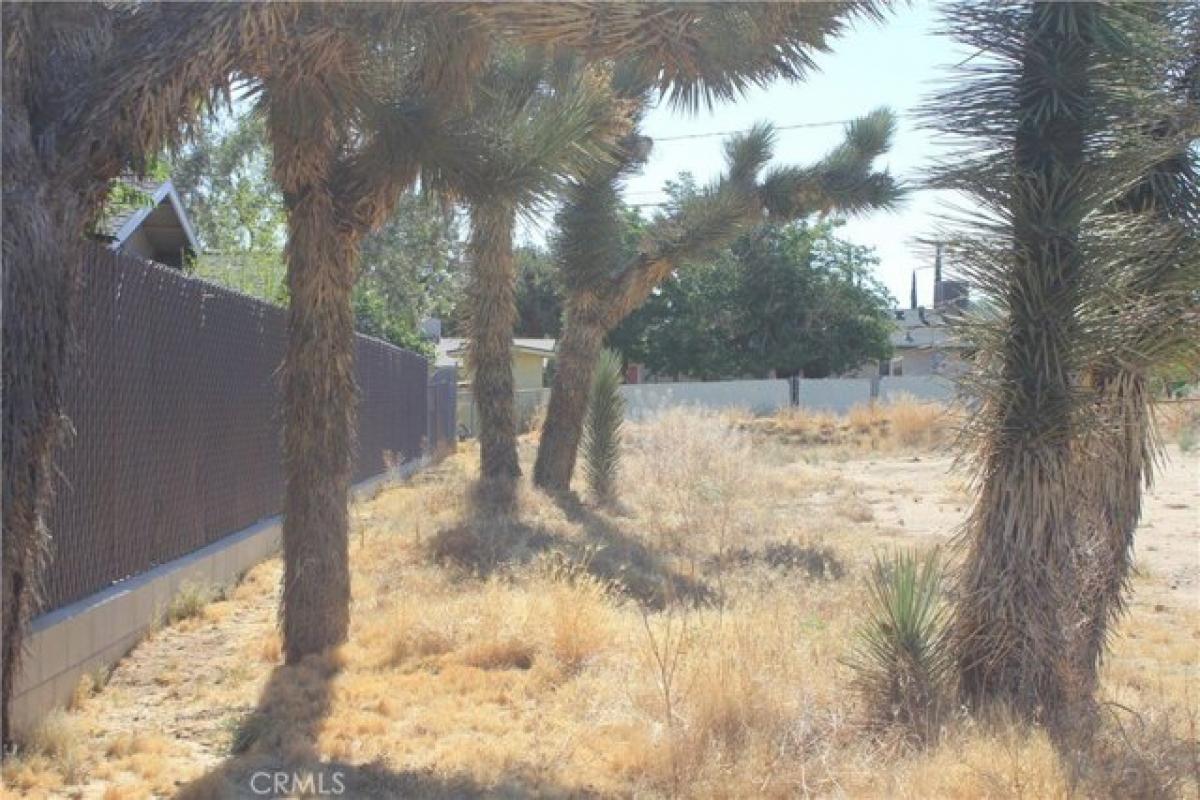 Picture of Residential Land For Sale in Yucca Valley, California, United States