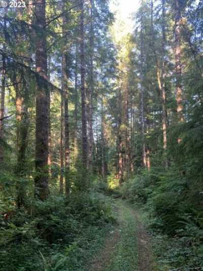 Residential Land For Sale in Naselle, Washington