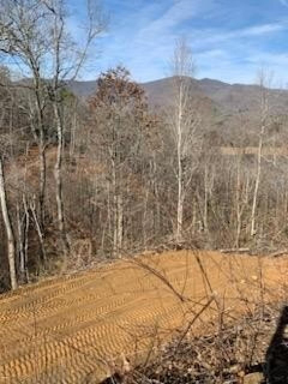 Picture of Residential Land For Sale in Robbinsville, North Carolina, United States