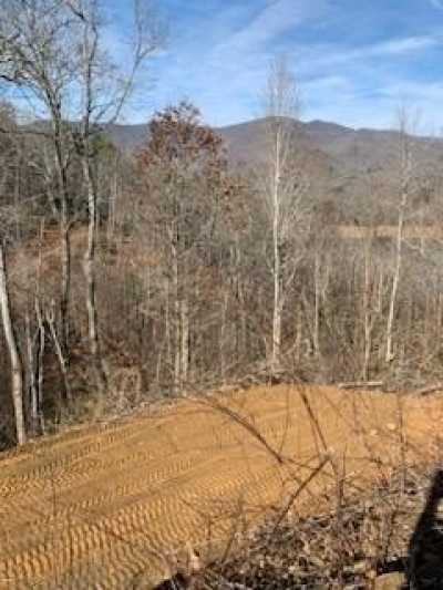 Residential Land For Sale in Robbinsville, North Carolina