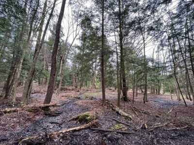 Residential Land For Sale in Sherman, New York