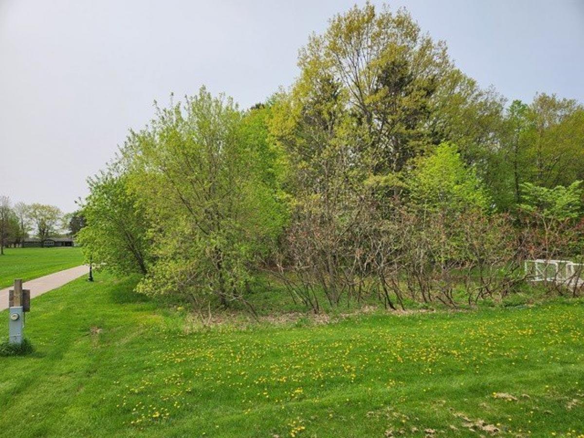 Picture of Residential Land For Sale in Pittsville, Wisconsin, United States