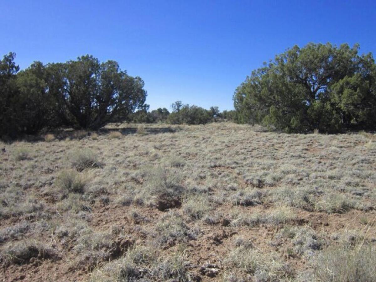 Picture of Residential Land For Sale in Chambers, Arizona, United States