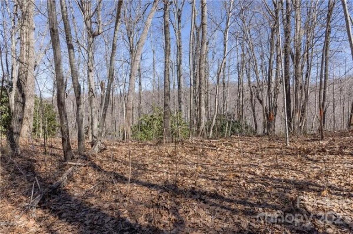 Picture of Residential Land For Sale in Fairview, North Carolina, United States