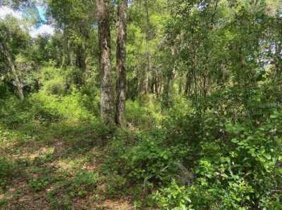 Residential Land For Sale in Lake Helen, Florida