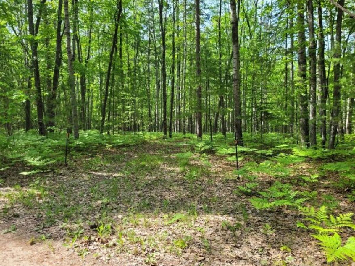Picture of Residential Land For Sale in Millersburg, Michigan, United States