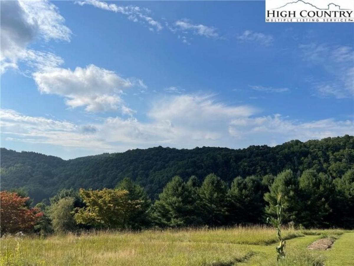 Picture of Residential Land For Sale in Crumpler, North Carolina, United States