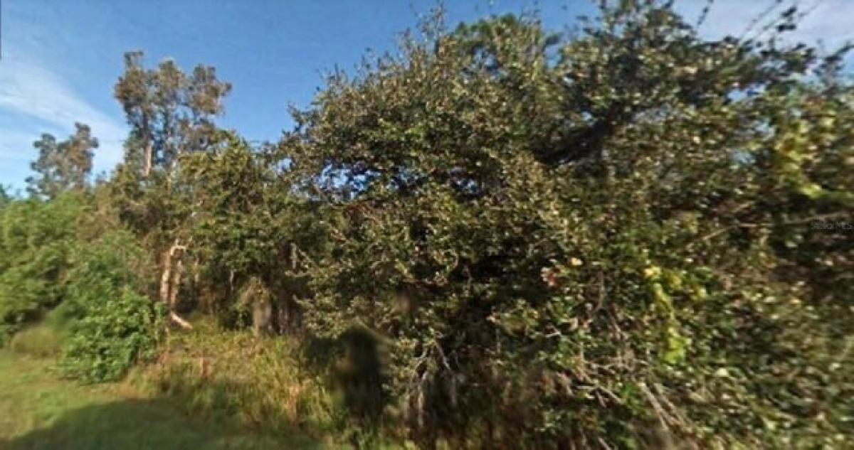 Picture of Residential Land For Sale in Bokeelia, Florida, United States