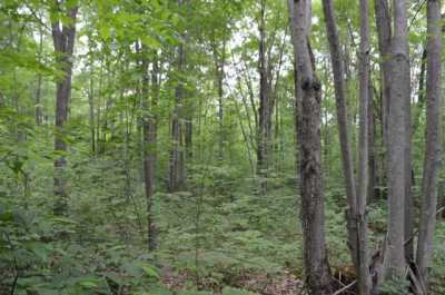 Residential Land For Sale in Hatley, Wisconsin