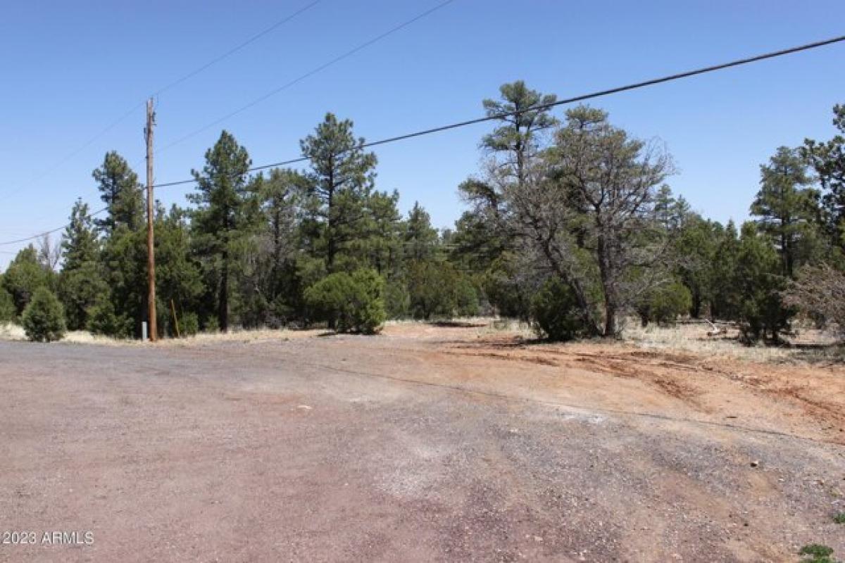 Picture of Residential Land For Sale in Show Low, Arizona, United States