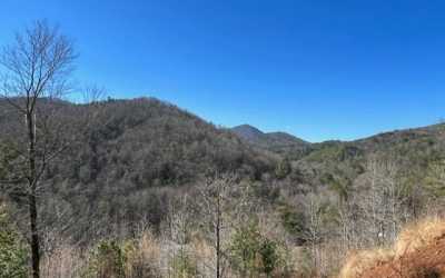 Residential Land For Sale in Cherry Log, Georgia