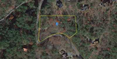 Residential Land For Sale in Cherry Log, Georgia