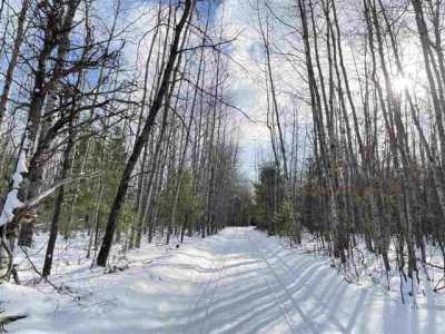 Residential Land For Sale in Indian River, Michigan