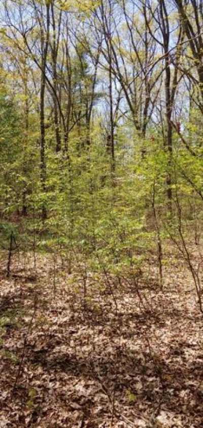 Residential Land For Sale in Hamilton, Michigan